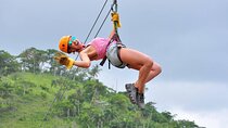 Zip Line and Boat Cruise with Open Bar 