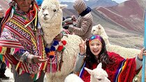 Full Day Mountain Trekking Tour 7 colors
