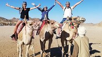 Hurghada Safari Trip Quad, Buggy, Jeep, Camel, Dinner, and Show