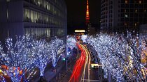 Walk Tokyo's Streets with Tokyo Midtown Tour