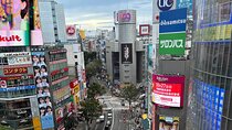 Dynamic Tokyo Private Custom Walking Tour