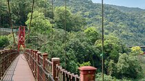 Wulai Nature Tour: Scenic Train, Waterfalls & Indigenous Cuisine