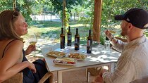 Biodynamic Wine Tasting with Producer in Vinci