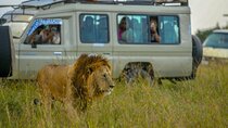 10 Day Bush and Beach Safari in Nairobi