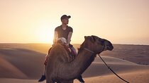 Camel Ride & Romantic Dinner in Agafay with Transfers - Marrakech