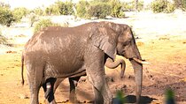 3 Days Private Trip to Victoria Falls Chobe Tour 