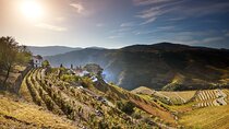 4×4 Douro Wine Tasting Private Tour
