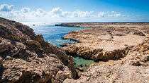 Ras Mohamed National Park & City Tour by Bus - Sharm El Sheikh