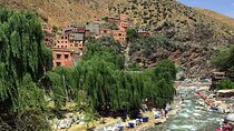 Live an Unforgettable Day in the Heart of the Ourika Valley