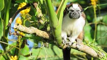 Beautiful Panama Canal Lake Nature Sightseeing