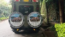 Day Trip to Amboseli National Park at the Base of Mt. Kilimanjaro