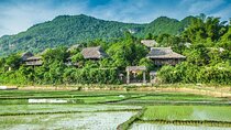 From Hanoi: 2-Day Classic Tour to Mai Chau’s Hidden Valley 