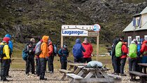 Landmannalaugar Hike and Hot Springs from Reykjavik and Hella