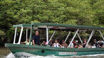 Palo Verde National Park Boat River Tour 