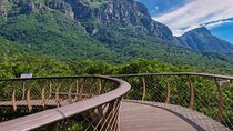 Kirstenbosch Botanical Garden and Constantia Wine with AFROGEM 