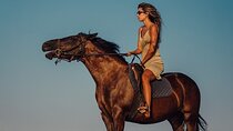 2-Hour Horse Ride with Bedouin Dinner & Show – Sharm El Sheikh
