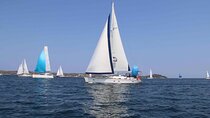 Day Sailing Adventure in the Florida Marine Sanctuary