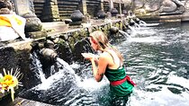 Ubud :Spectacular Waterfalls & Temple Tour 