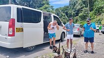 Private Transfer from San Jose Airport to Fortuna