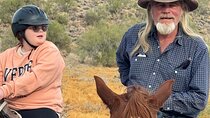 Contact us to book your time. Best Trail Rides in Arizona.