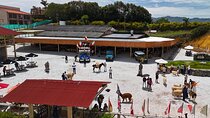 Guatapé for children with farm and boat tour(Private tour)