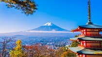 Mt Fuji Private Day Trip from Tokyo with English Speaking Driver