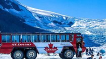 Calgary: Columbia Icefield Adventure, Skywalk and Peyto Lake Tour