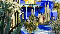 Horse Drawn Carriage Tour of Marguel Garden& Koutoubia- Marrakesh