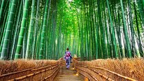 Arashiyama Autumn Leaves & Sanzen-in Temple Tour from Osaka/kyoto