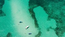 Private Isla Saona Boat Tour – Snorkeling Premium Drinks & Buffet