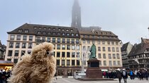 Strasbourg Private Walking Tour 