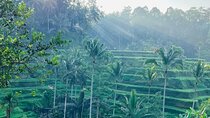 All Inclusive: Monkey Forest, Rice terrace, Holly Spring Temple