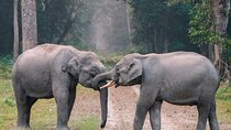  From Delhi :Taj Mahal And Agra Tour with Elephant wildlife sos