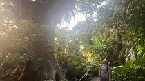 E-Bike Nature Tour in Shuri