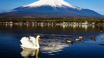 Mt Fuji Lake Kawaguchi and Yamanaka Hot Spring Day Tour in Tokyo