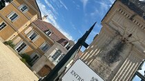 Excursion Full Day Discovery Beaune Vineyards and Gastronomy 