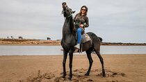 Horse Riding Experience in the Forest and River - Agadir