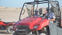 Buggy Safari Adventure with Echo Valley – Sharm El Sheikh