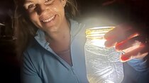 Wildlife Refuge Bio Comb Jelly Sunset Kayak or Paddleboard Tour!
