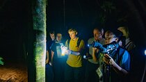Nocturnal Walk in the Hanging Bridges