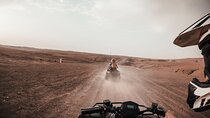 AGAFAY CAMEL BACKPACK and BERBER DINNER with Transfer 
