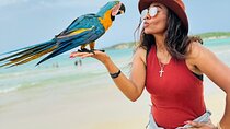 Punta Cana Dominican Republic Small Group Cultural Tour Safari