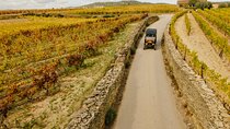 Two Day Tour of the Douro Valley