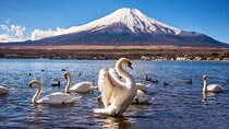 Mt Fuji Kawaguchi/Hakone/Yokohama Tokyo customize private car 