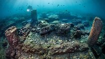Discover Scuba Diving in the Bay Submerged Park