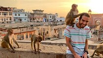 Jaipur Half-Day Tour with Flower Market & Sunset Views