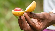 Top Zanzibar Day Tour Spice Plantations + Stone Town Guided