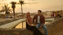 Best of Dubai: Desert Safari, Cruise, Bus Tour & Marina Dinner
