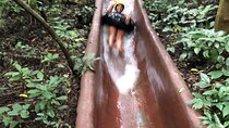 Adventure Buena Vista Hot Springs Zipline Horses and More