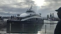 Cape Town Half-Day Robben Island Tour Ferry Ticket Only